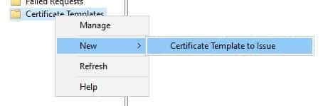 Certificate Template to issue