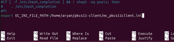 Export ini file