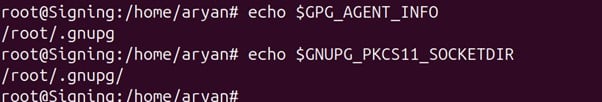 check variable